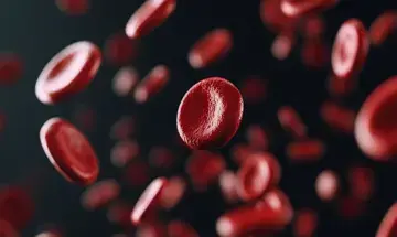 Das Bild zeigt KI-generierte Blutpl&auml;ttchen.