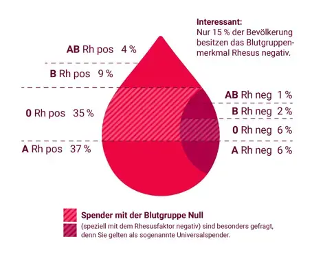 Zu sehen ist eine Grafik von einem Blutstropfen. In dem Blutstropfen sind die Anteile der verschiedenen Blutgruppen in Deutschland eingezeichnet. AB Rhesus positiv haben 4% der Menschen in Deutschland, Rhesus negativ 1%. B Rhesus positiv haben 9% der Menschen in Deutschland, Rhesus negativ 2%. 0 Rhesus positiv haben 35% der Menschen in Deutschland, Rhesus negativ 6%. A Rhesus positiv haben 37% der Menschen in Deutschland, Rhesus negativ 6%.