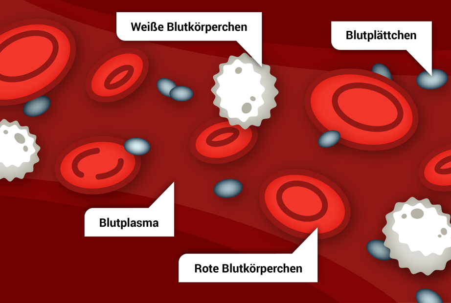 Sauerstoff: Definition, Entstehung, Folgen