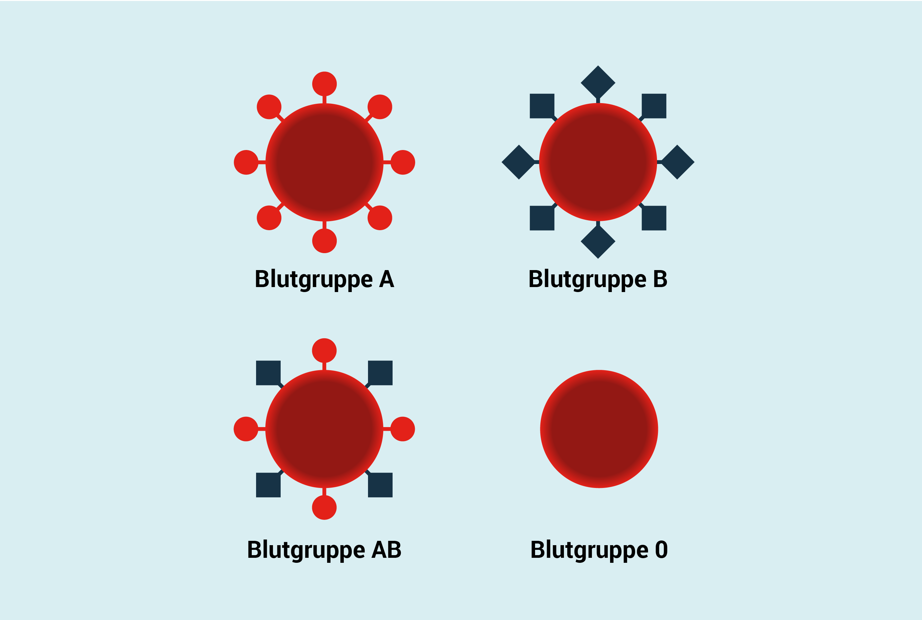 Grafik Unterschied Blutgruppen