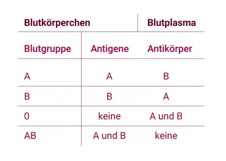 Zu sehen ist eine tabellarische Grafik, welche die jeweiligen Blutgruppen und die Antik&ouml;rper von Blutk&ouml;rperchen und Blutplasma gegen&uuml;berlegt.