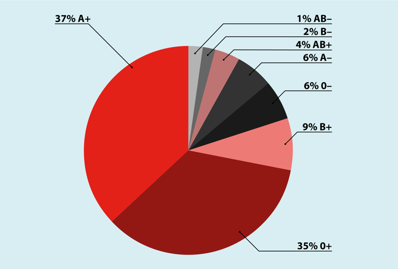 Grafik Blutgruppenverteilung in Deutschland